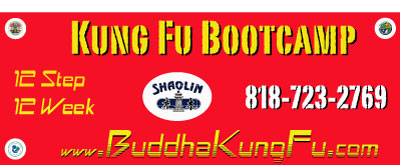 Buddha Kung Fu 12 Step Bootcamp