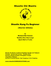 Gongfu Beginner book